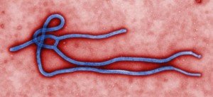 Infectious Disease Outbreaks: Ebola Virus