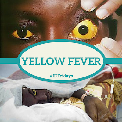 Infectious Disease Fridays: #IDFridays Week 6: Yellow Fever
