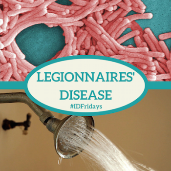 #IDFridays Week 8: Legionnaires’ Disease: https://www.drasatrust.org/legionnaires-disease/