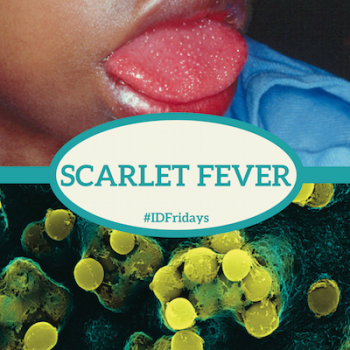#IDFridays Week 7: Scarlet Fever: http://drasatrust.org/scarlet-fever/