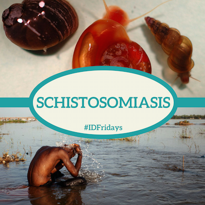 #IDFridays: Schistosomiasis