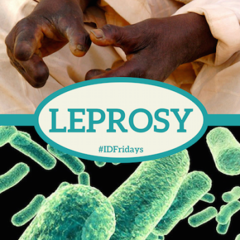 #IDFridays Week 49: Leprosy: https://www.drasatrust.org/leprosy/