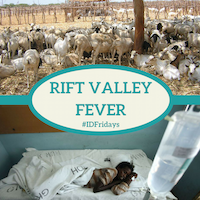 Rift Valley Fever 200px