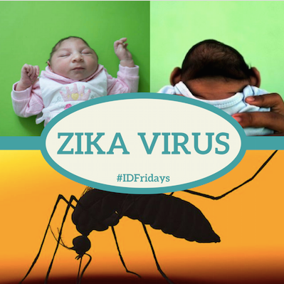 #IDFridays: Zika virus